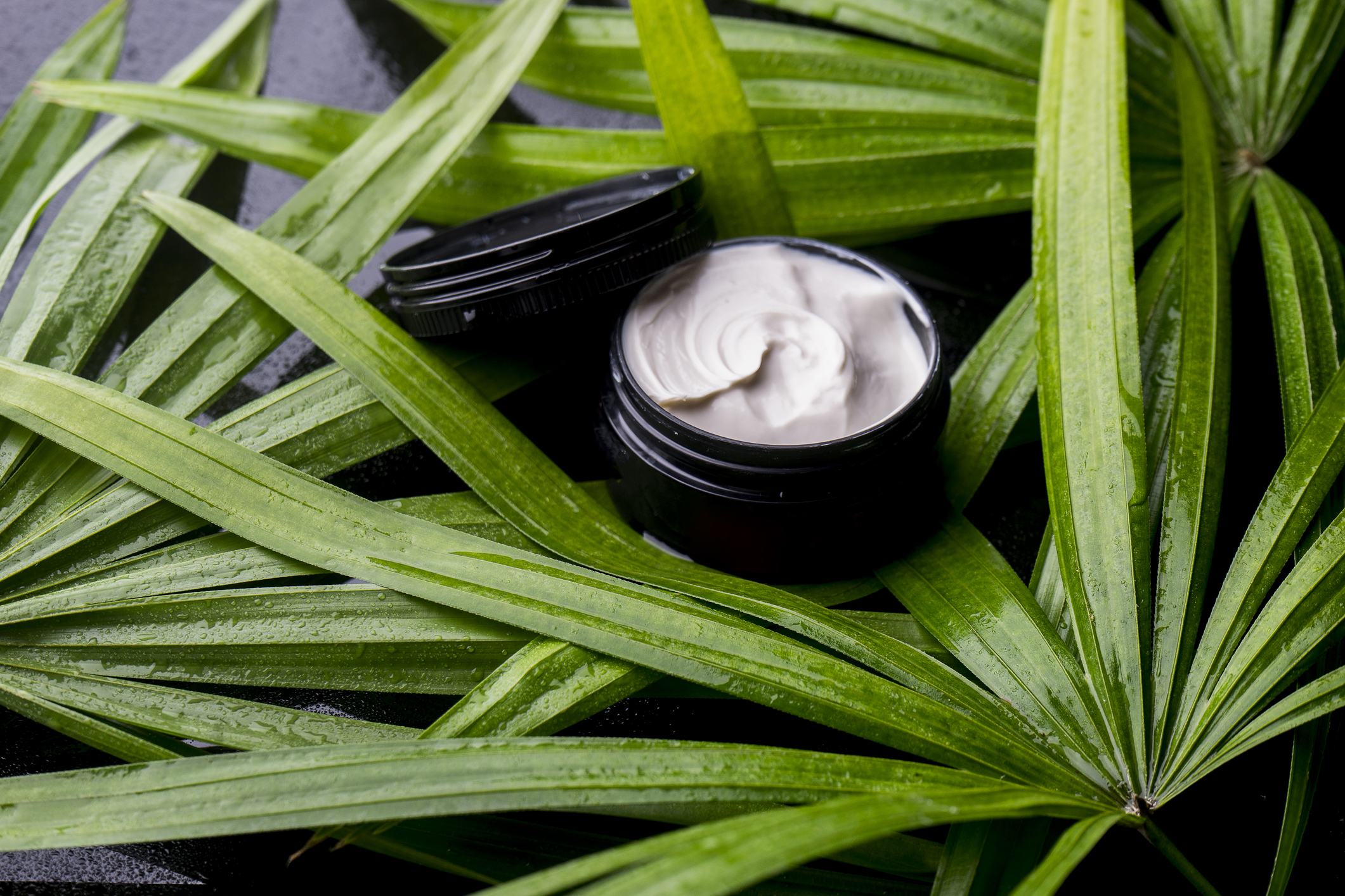 best lotions for elderly skin
